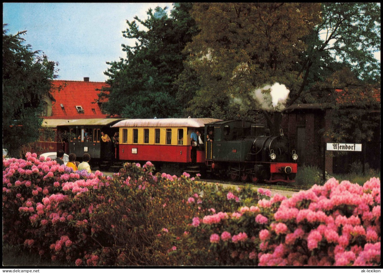 Museums-Eisenbahn Deutschlands Bruchhausen-Vilsen Heiligenberg - Asendorf 1980 - Trains
