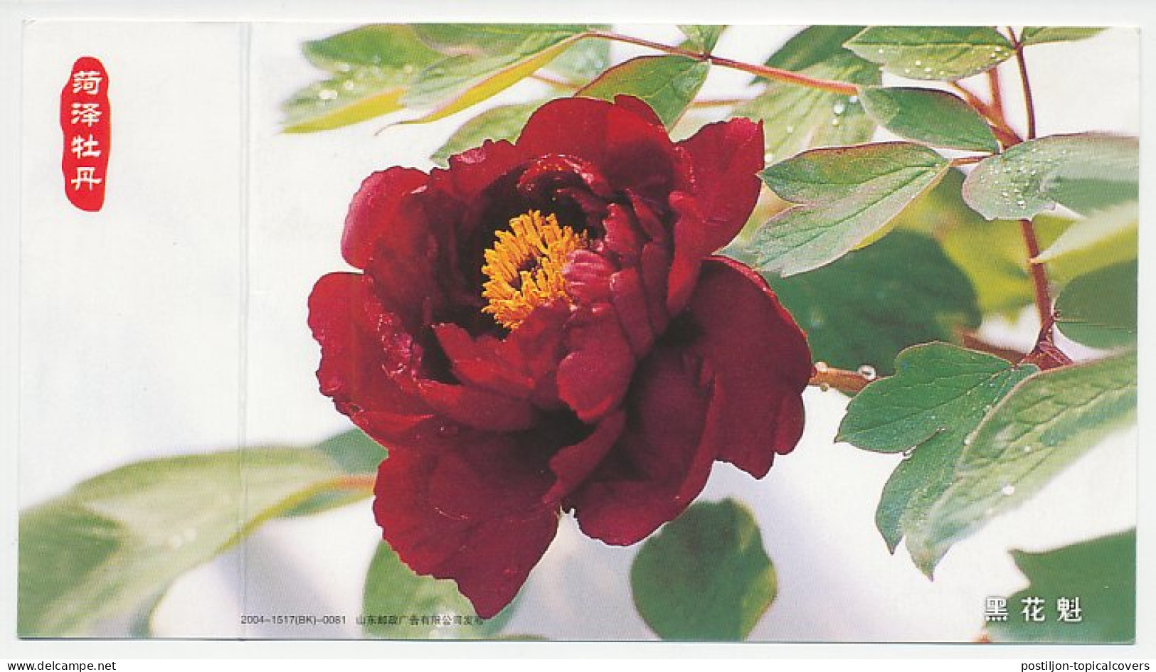 Postal Stationery China 2004 Flower - Autres & Non Classés