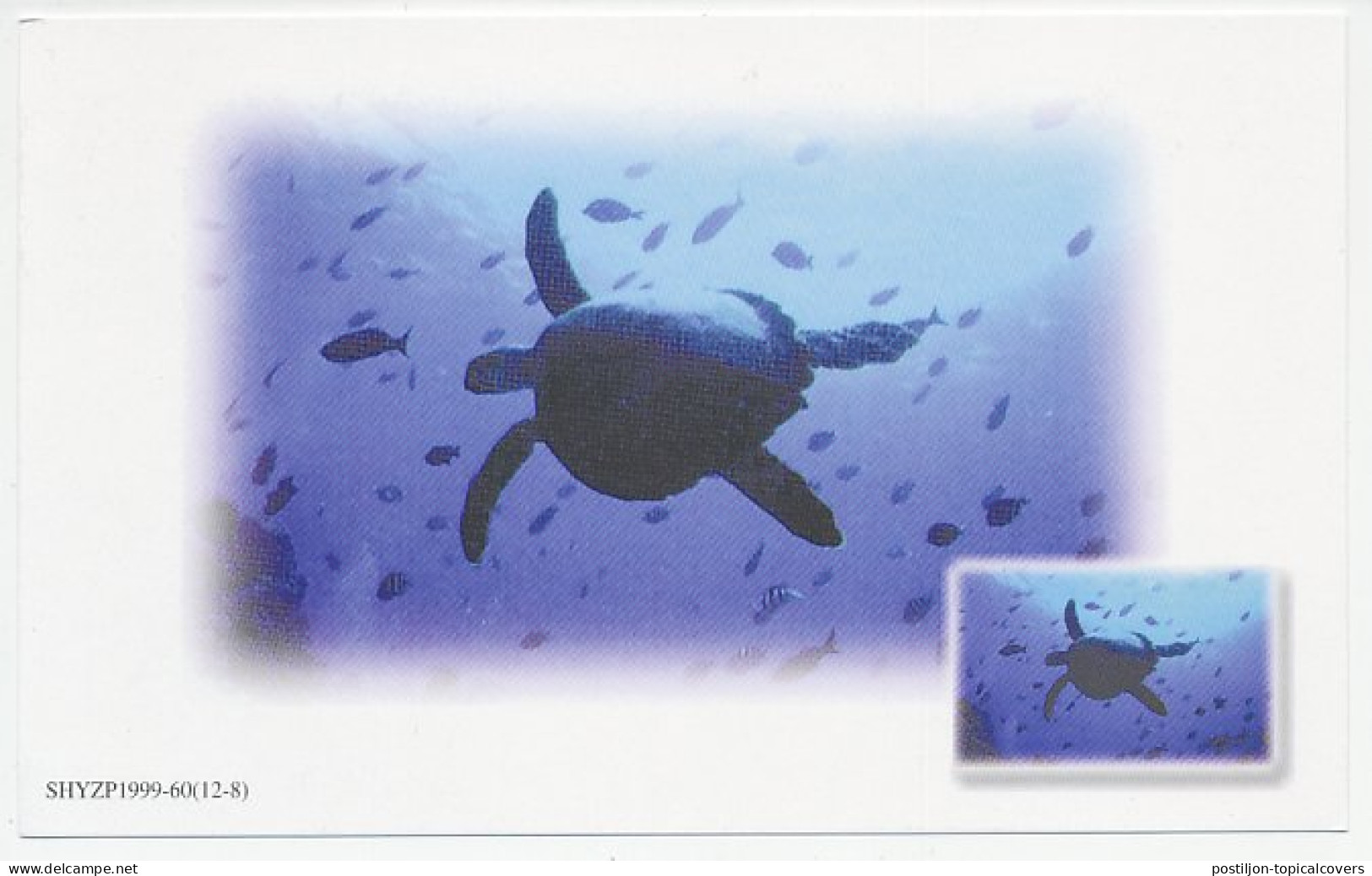 Postal Stationery China 1999 Turtle - Tortoise - Other & Unclassified