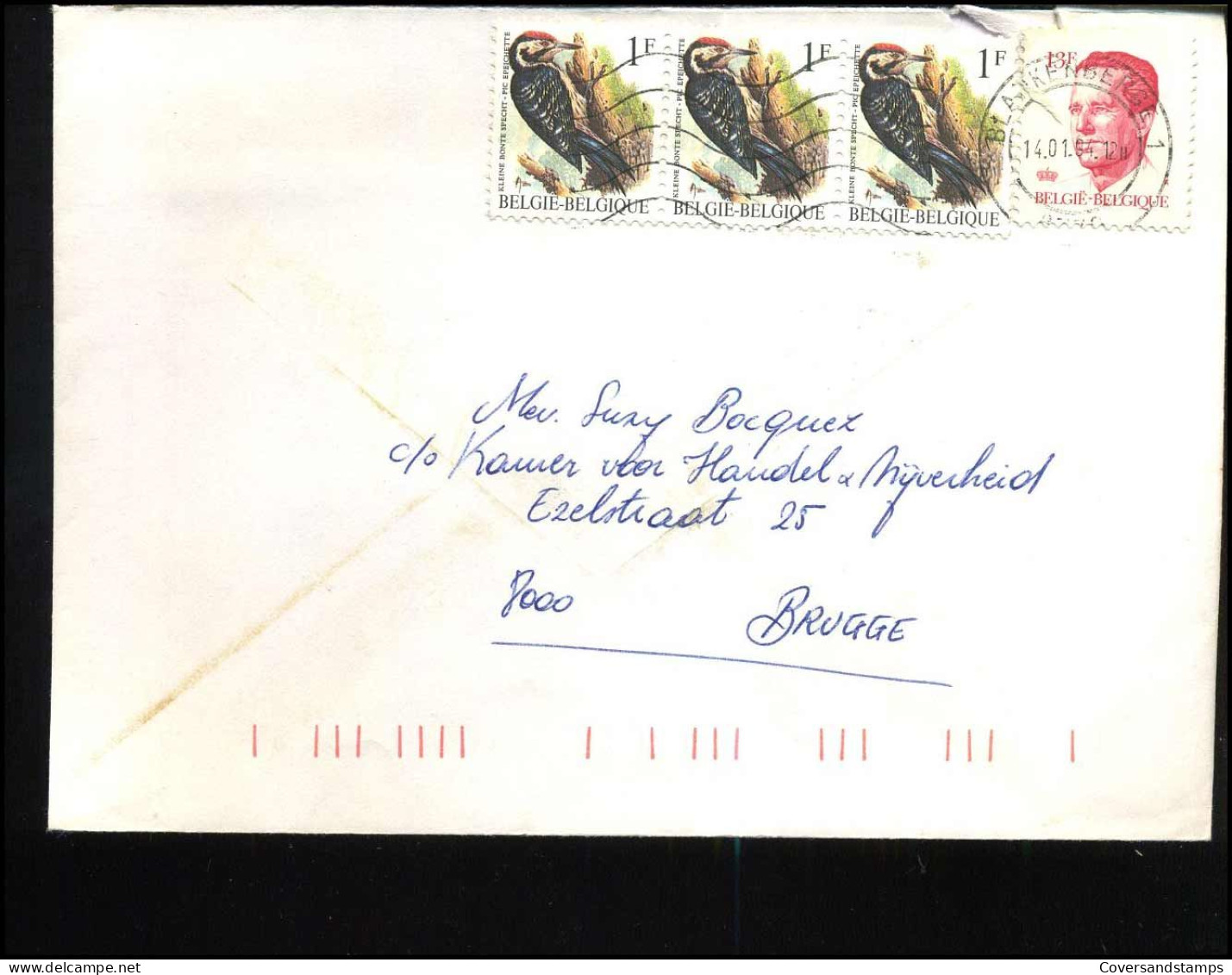 Cover Naar Brugge - N° 3 X 2349 + 2203 - 1985-.. Oiseaux (Buzin)