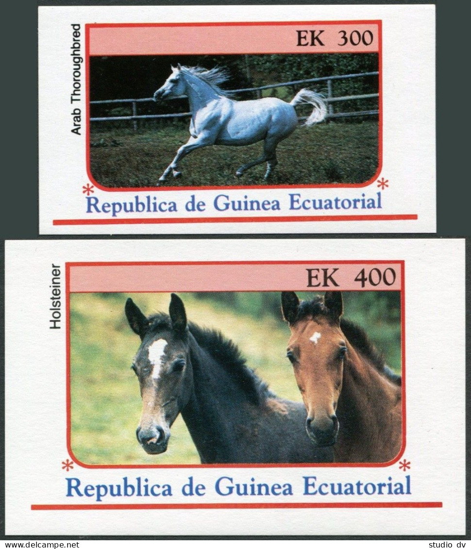 Eq Guinea Michel 805-812,Bl.D213,E213,MNH. Horses,1976. - Guinee (1958-...)