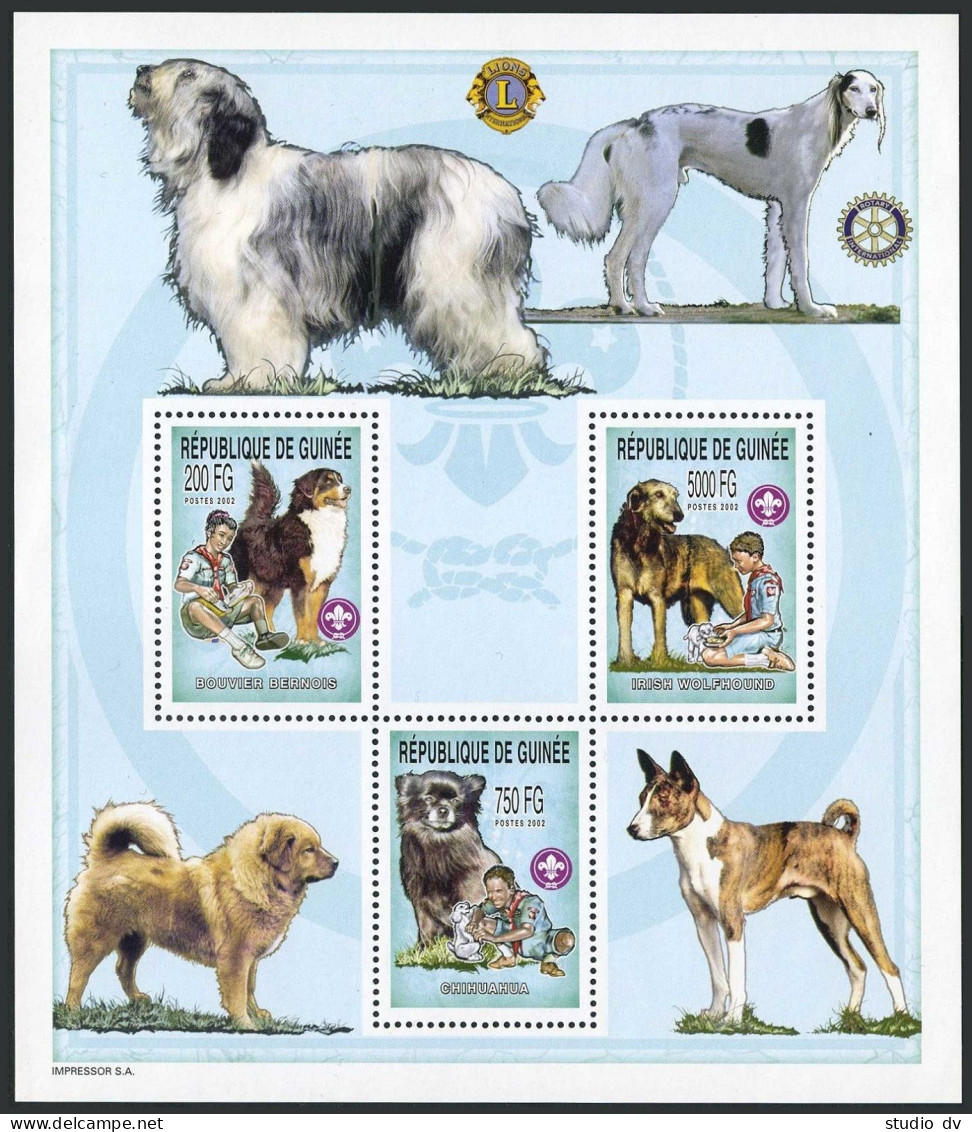 Guinea 2211 Sheet,MNH.Scouts,Dogs,2002.Bouvier Bernais,Chihuahua,Irish Wolfhound - Guinée (1958-...)