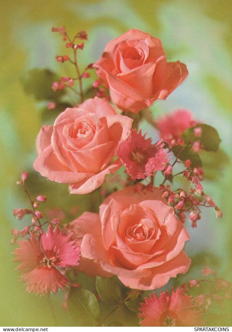 FLEURS Vintage Carte Postale CPSM #PAR940.FR - Flowers