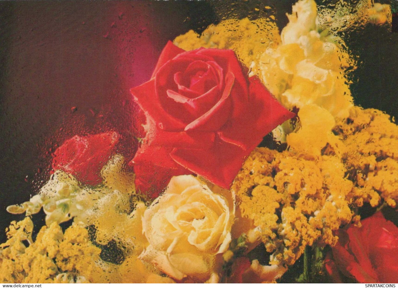 FLEURS Vintage Carte Postale CPSM #PAS061.FR - Flowers