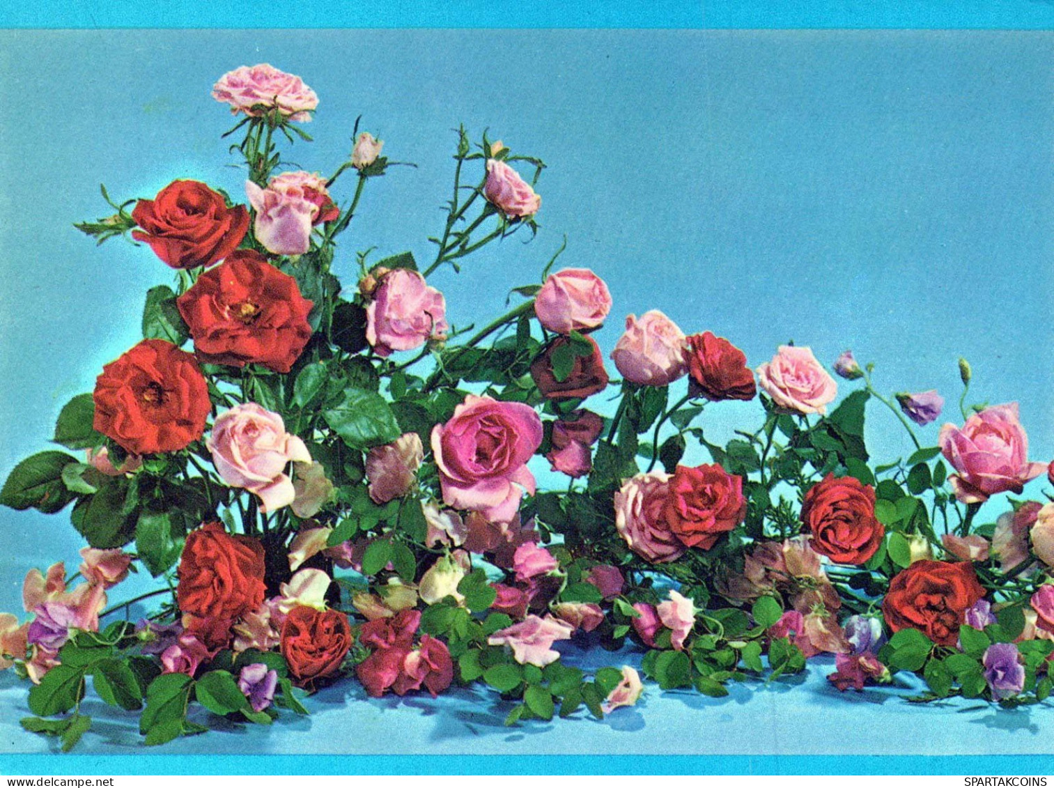 FLEURS Vintage Carte Postale CPSM #PAR760.FR - Bloemen