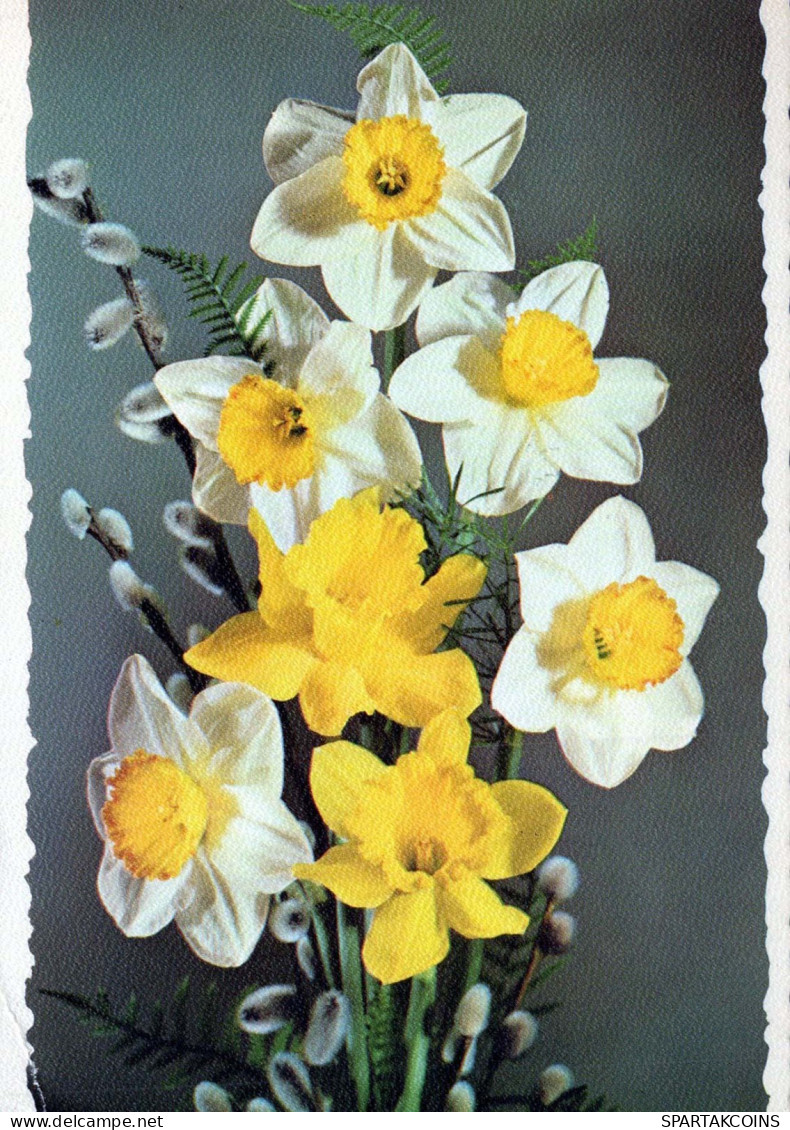FLEURS Vintage Carte Postale CPSM #PAR038.FR - Flowers