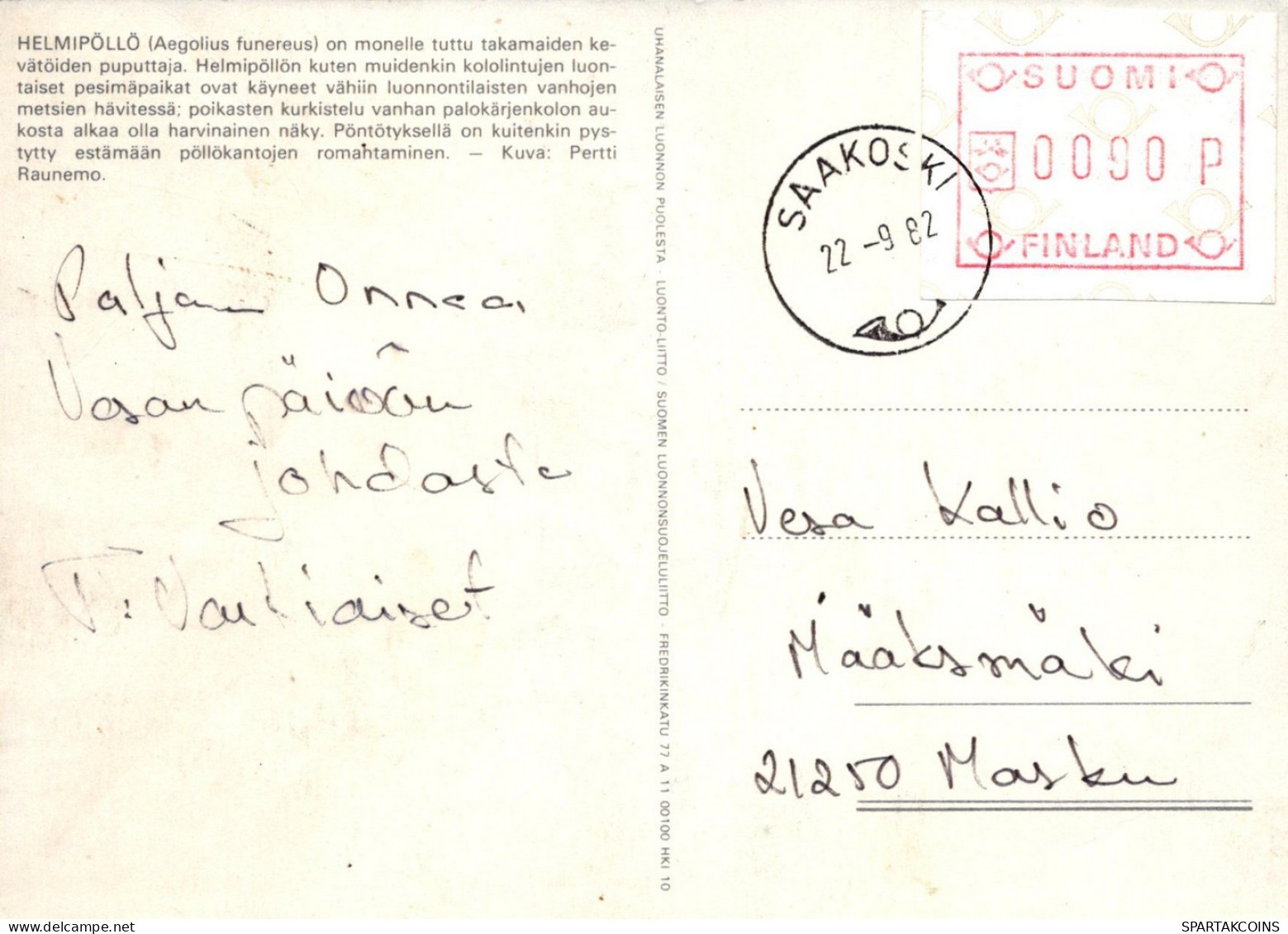 OISEAU Animaux Vintage Carte Postale CPSM #PAN263.FR - Birds