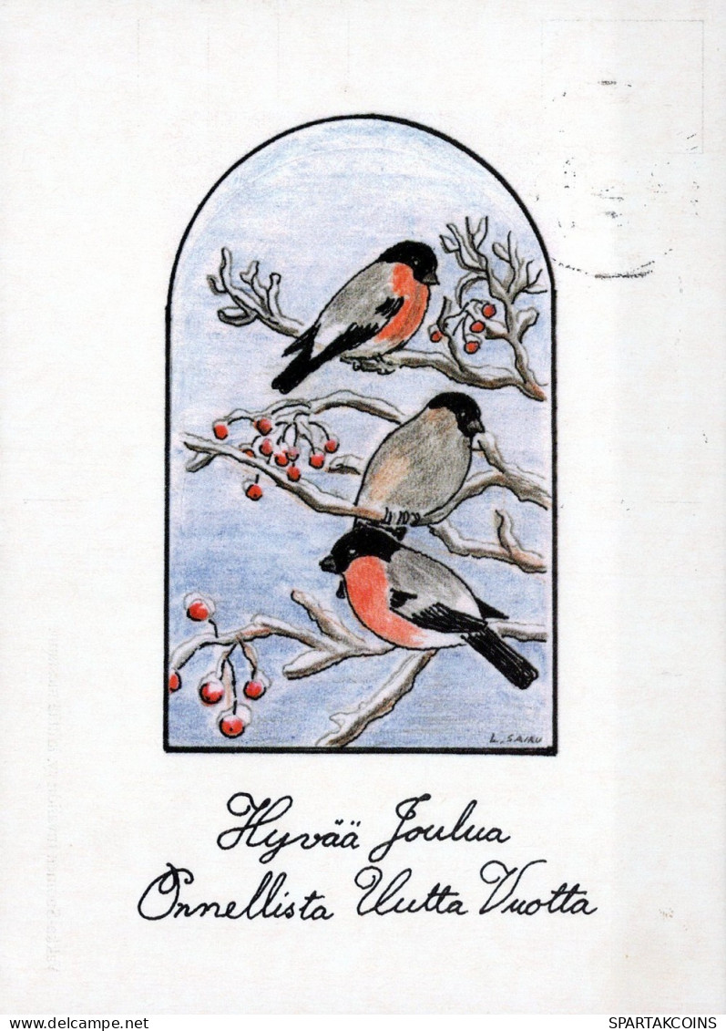 OISEAU Animaux Vintage Carte Postale CPSM #PAM893.FR - Birds