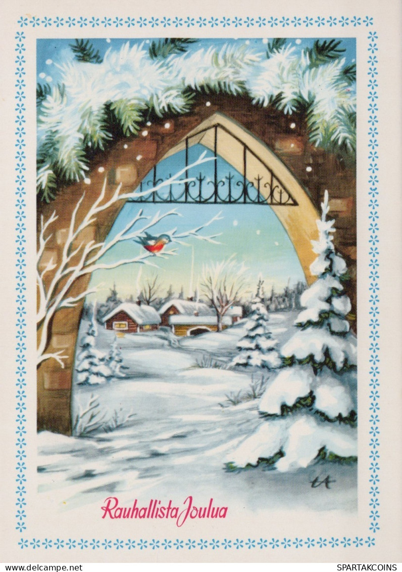 OISEAU Animaux Vintage Carte Postale CPSM #PAN079.FR - Birds