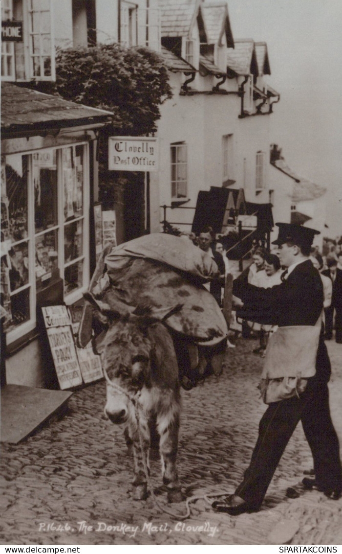 BURRO Animales Vintage Antiguo CPA Tarjeta Postal #PAA275.ES - Donkeys