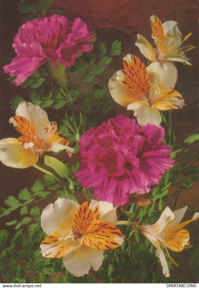 FLORES Vintage Tarjeta Postal CPSM #PBZ407.ES - Flowers