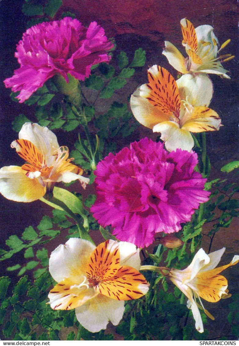 FLORES Vintage Tarjeta Postal CPSM #PBZ407.ES - Flowers