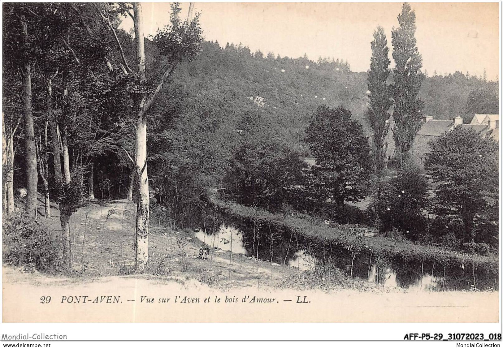 AFFP5-29-0361 - PONT-AVEN - Vue Sur L'aven Et Le Bois D'amour  - Pont Aven