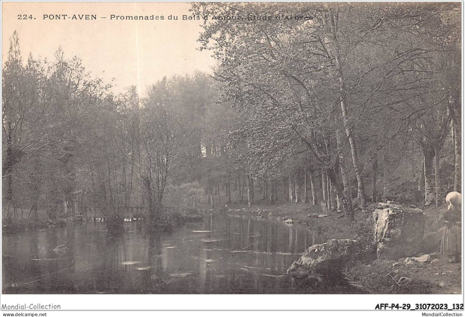 AFFP4-29-0337 - PONT-AVEN - Promenades Du Bois D'amour - Etude D'arbres  - Pont Aven