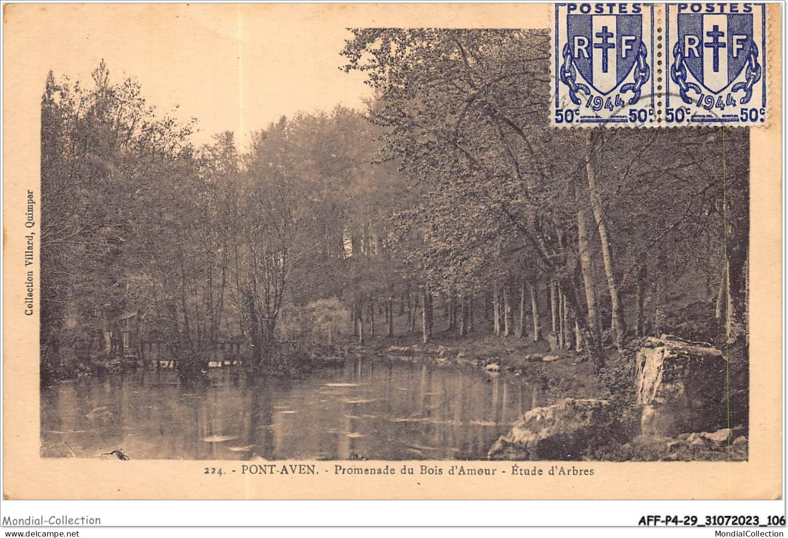 AFFP4-29-0324 - PONT-AVEN - Promenade Du Bois D'amour - étude D'arbres  - Pont Aven