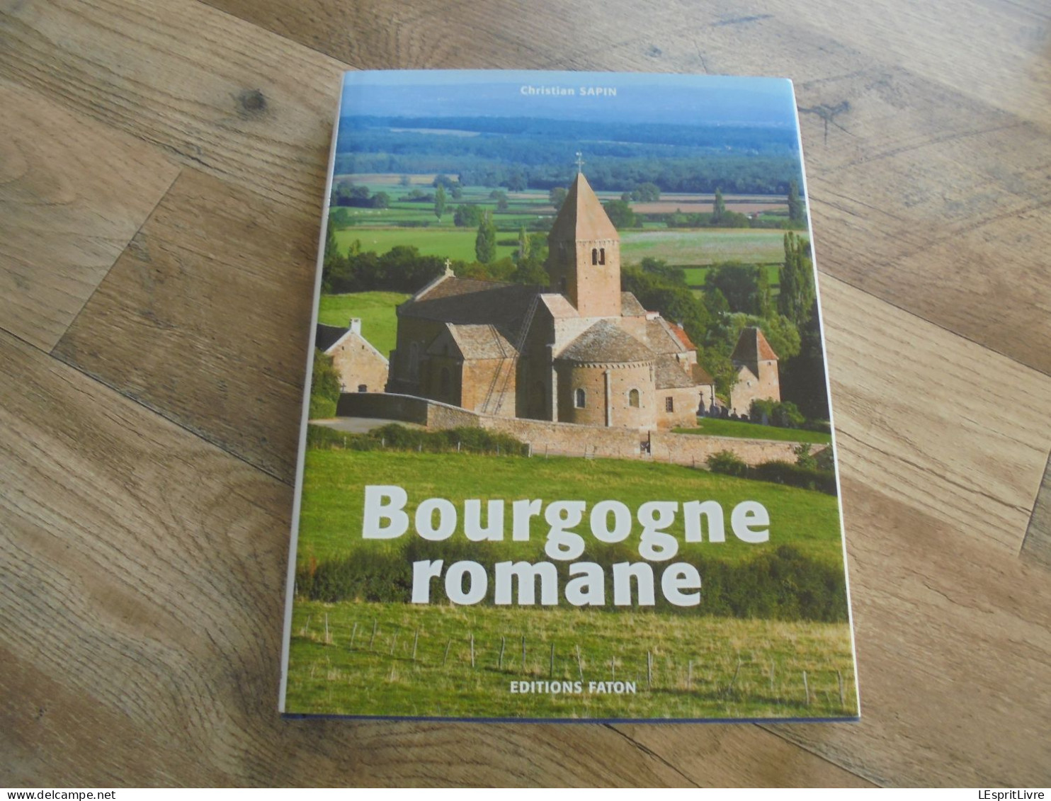 BOURGOGNE ROMANE Régionalisme Architecture R-Religieuse Cluny Art Roman Eglise Abbatiale Dijon Velezay France - Bourgogne