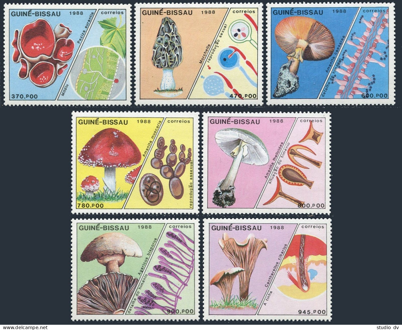 Guinea Bissau 765-771,MNH.Michel 989-995. Mushrooms 1988. - Guinée-Bissau