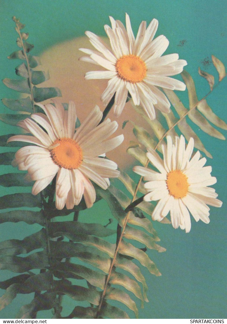 FLOWERS Vintage Postcard CPSM #PAR698.GB - Flowers