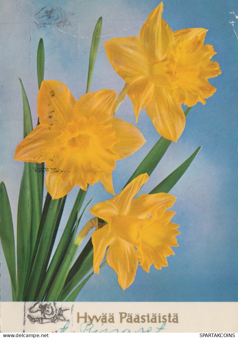 FLOWERS Vintage Postcard CPSM #PAR036.GB - Flowers