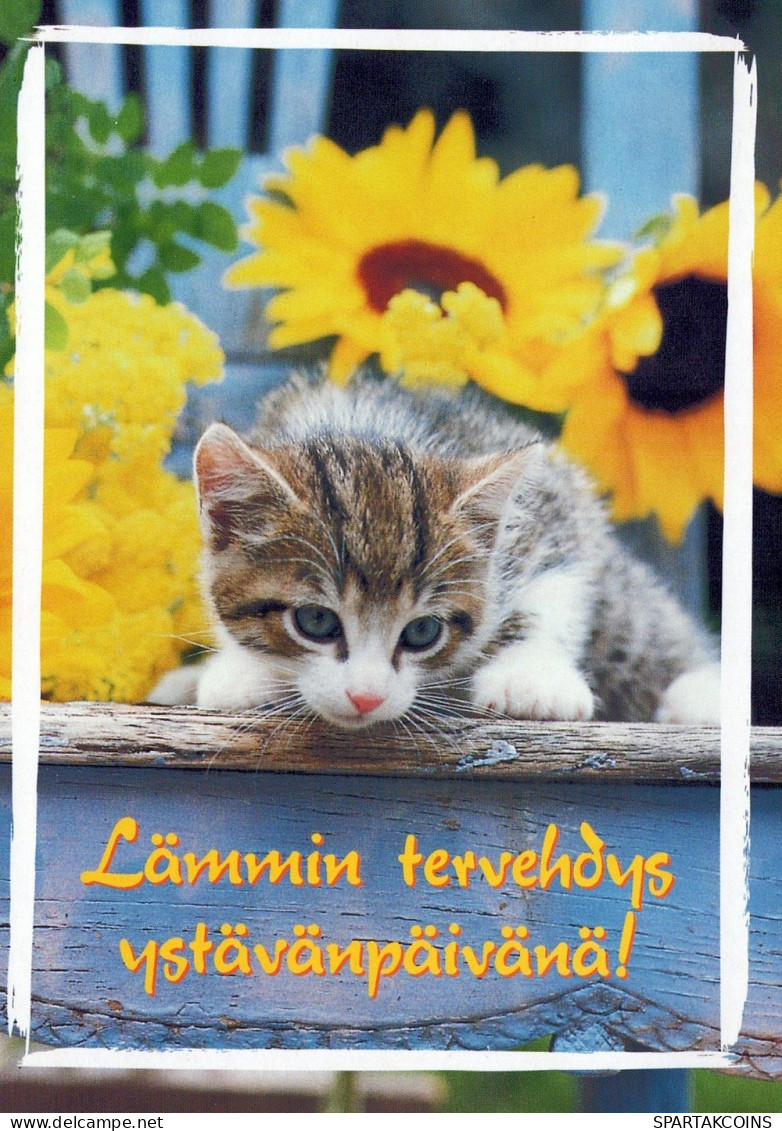 CAT KITTY Animals Vintage Postcard CPSM #PAM641.GB - Cats