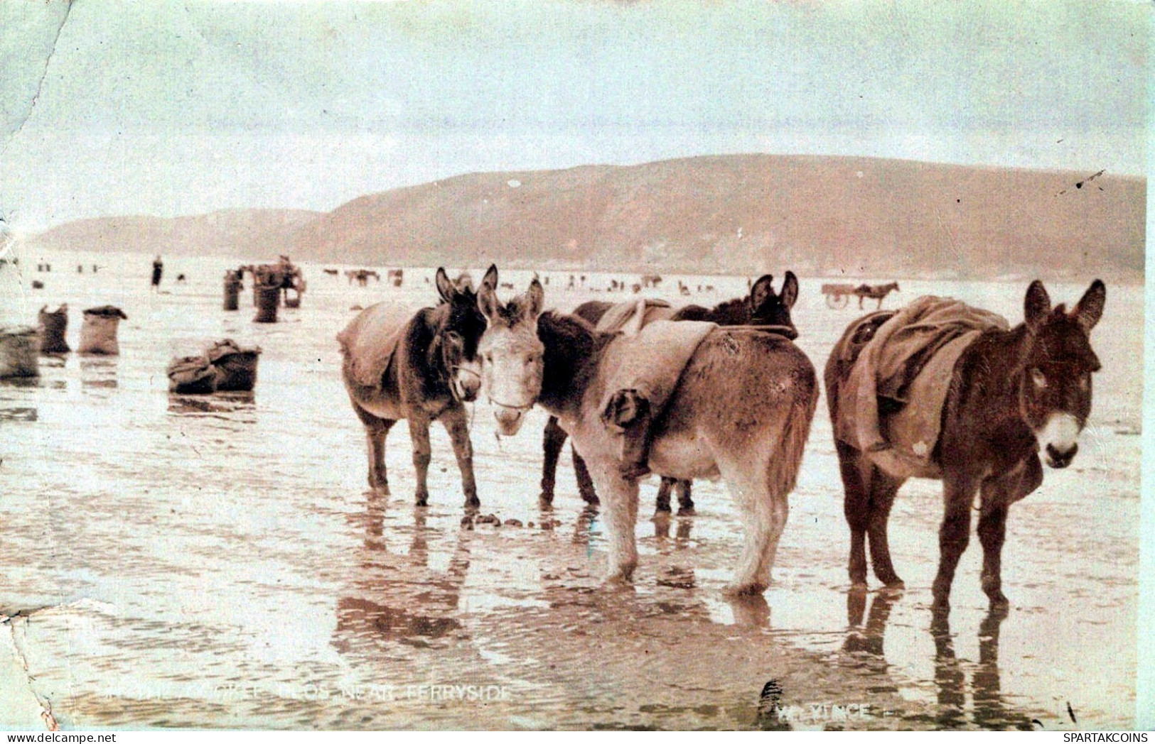 ÂNE Animaux Vintage Antique CPA Carte Postale #PAA196.FR - Donkeys