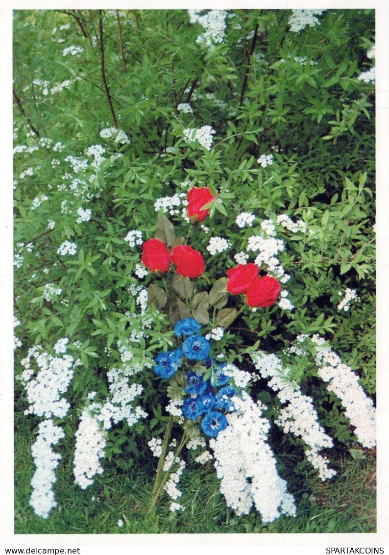 FLEURS Vintage Carte Postale CPSM #PBZ708.FR - Flowers