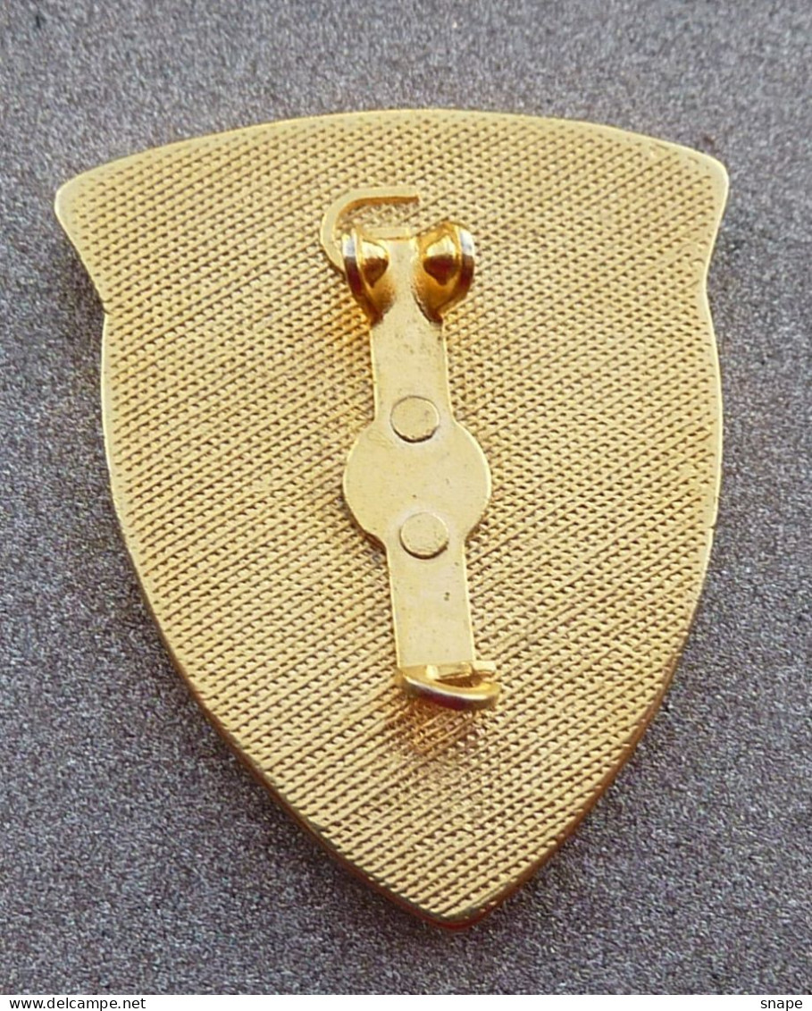 DISTINTIVO Spilla OPERATORE MACCHINE STRADALI - Esercito Italiano Incarichi - Italian Army Pinned Badge - Used (286) - Army