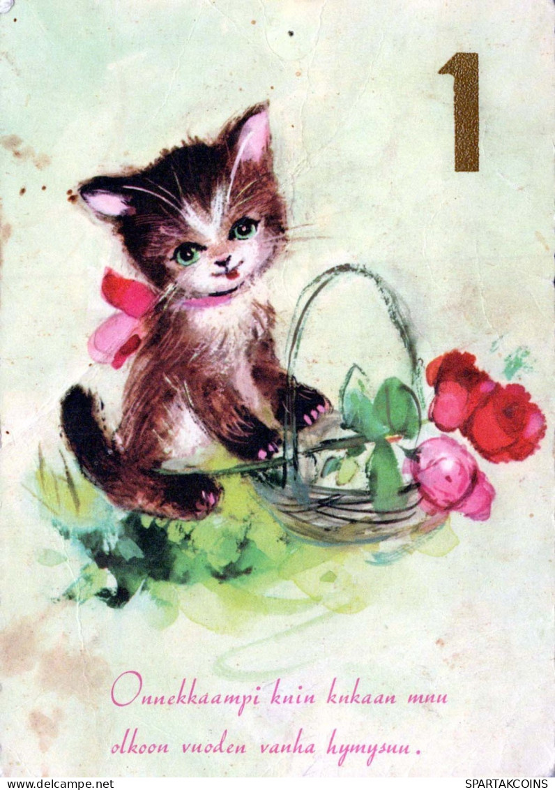 CHAT CHAT Animaux Vintage Carte Postale CPSM #PBQ865.FR - Cats