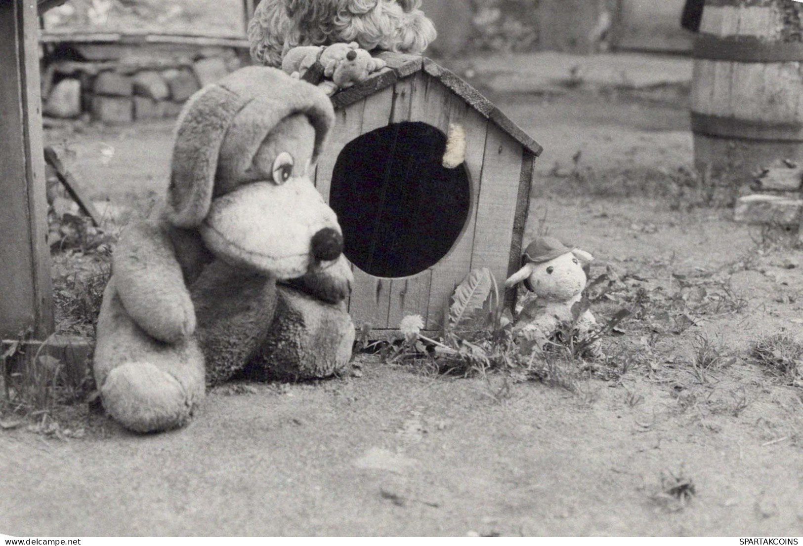 CHIEN Animaux Vintage Carte Postale CPSM #PBQ338.FR - Chiens