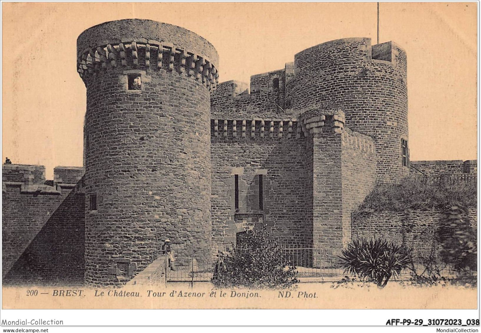 AFFP9-29-0725 - BREST - Le Château - Tour D'azenor Et Le Donjon  - Brest
