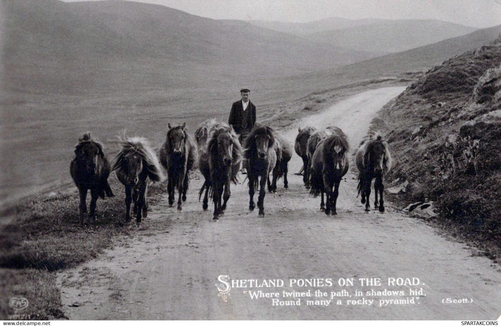 DONKEY Animals Vintage Antique Old CPA Postcard #PAA194.GB - Donkeys