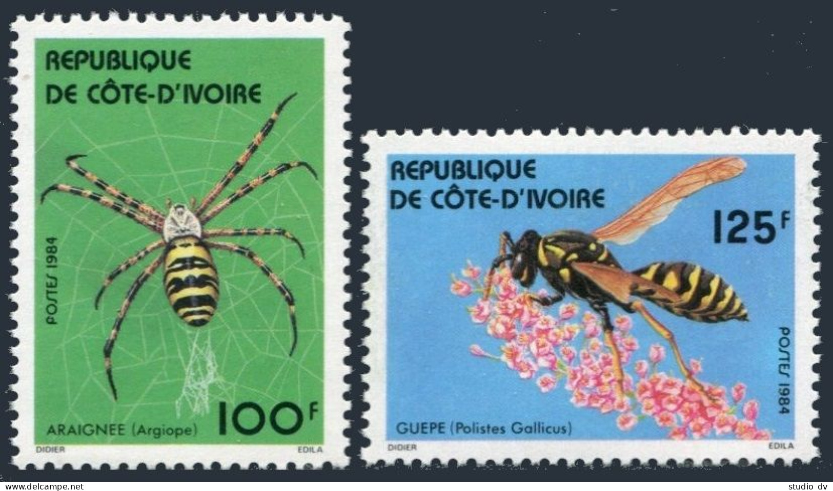 Ivory Coast 710-711, MNH. Michel 808-809. Local Insects 1984. Argiope, Polistes. - Ivory Coast (1960-...)