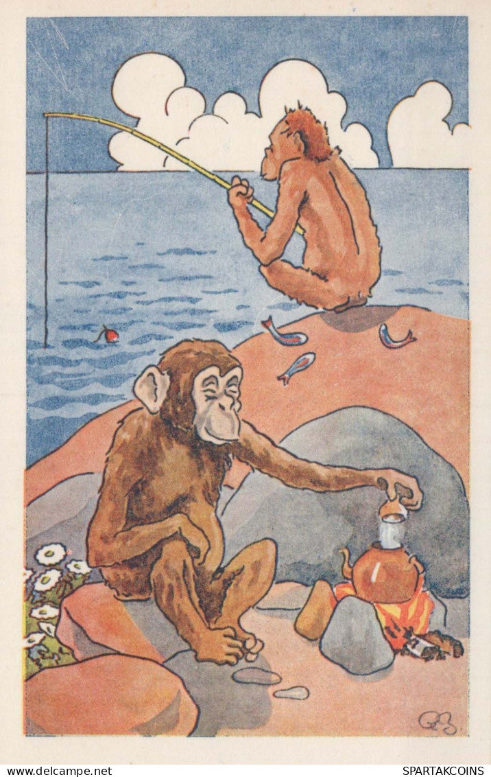 MONKEY Animals Vintage Postcard CPA #PKE767.GB - Monkeys