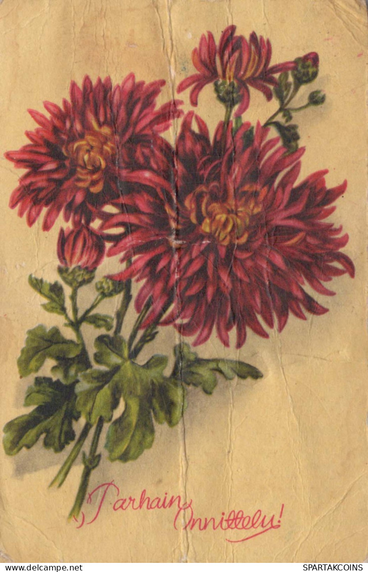 FLOWERS Vintage Postcard CPA #PKE702.GB - Fleurs