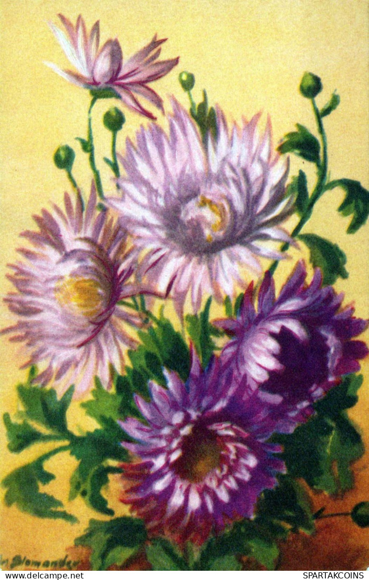 FLOWERS Vintage Postcard CPA #PKE520.GB - Fleurs