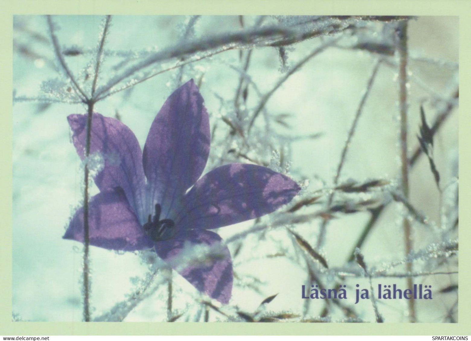 FLOWERS Vintage Postcard CPSM #PBZ706.GB - Flowers