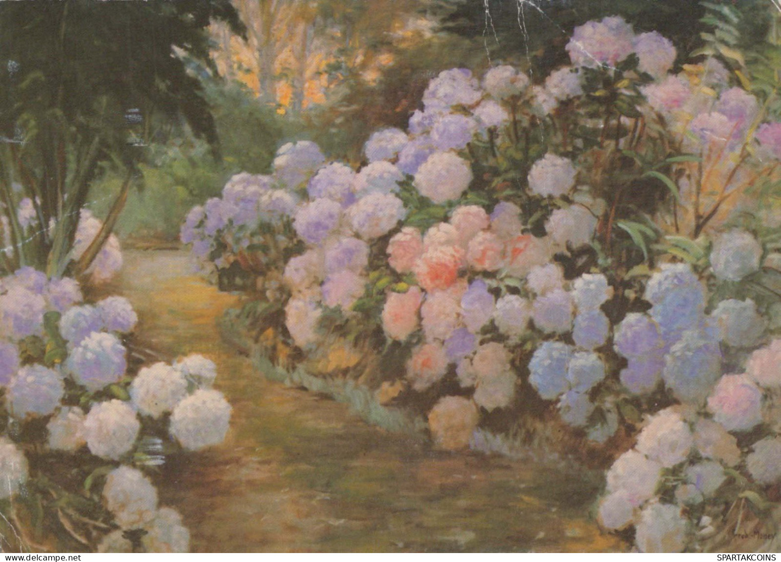 FLOWERS Vintage Postcard CPSM #PBZ950.GB - Fleurs