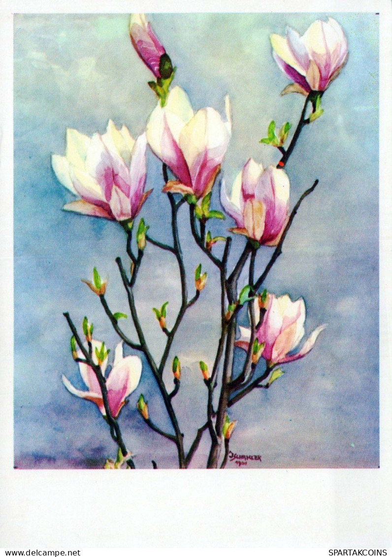 FLOWERS Vintage Postcard CPSM #PBZ106.GB - Flowers