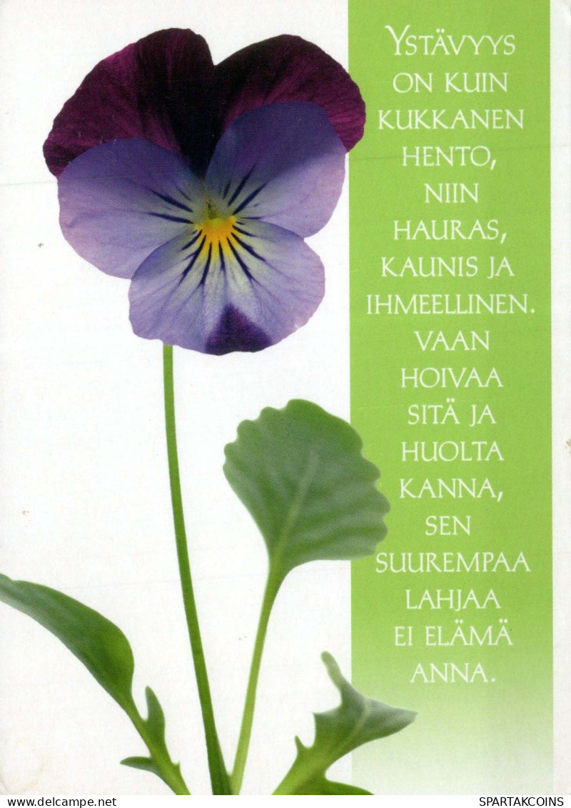 FLOWERS Vintage Postcard CPSM #PBZ226.GB - Flowers