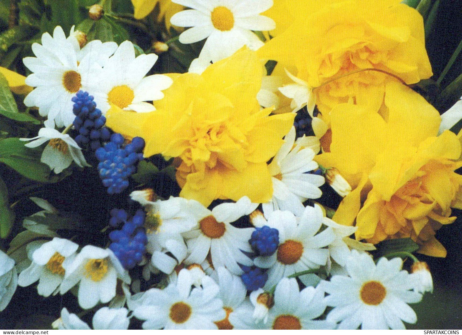 FLOWERS Vintage Postcard CPSM #PBZ346.GB - Fleurs
