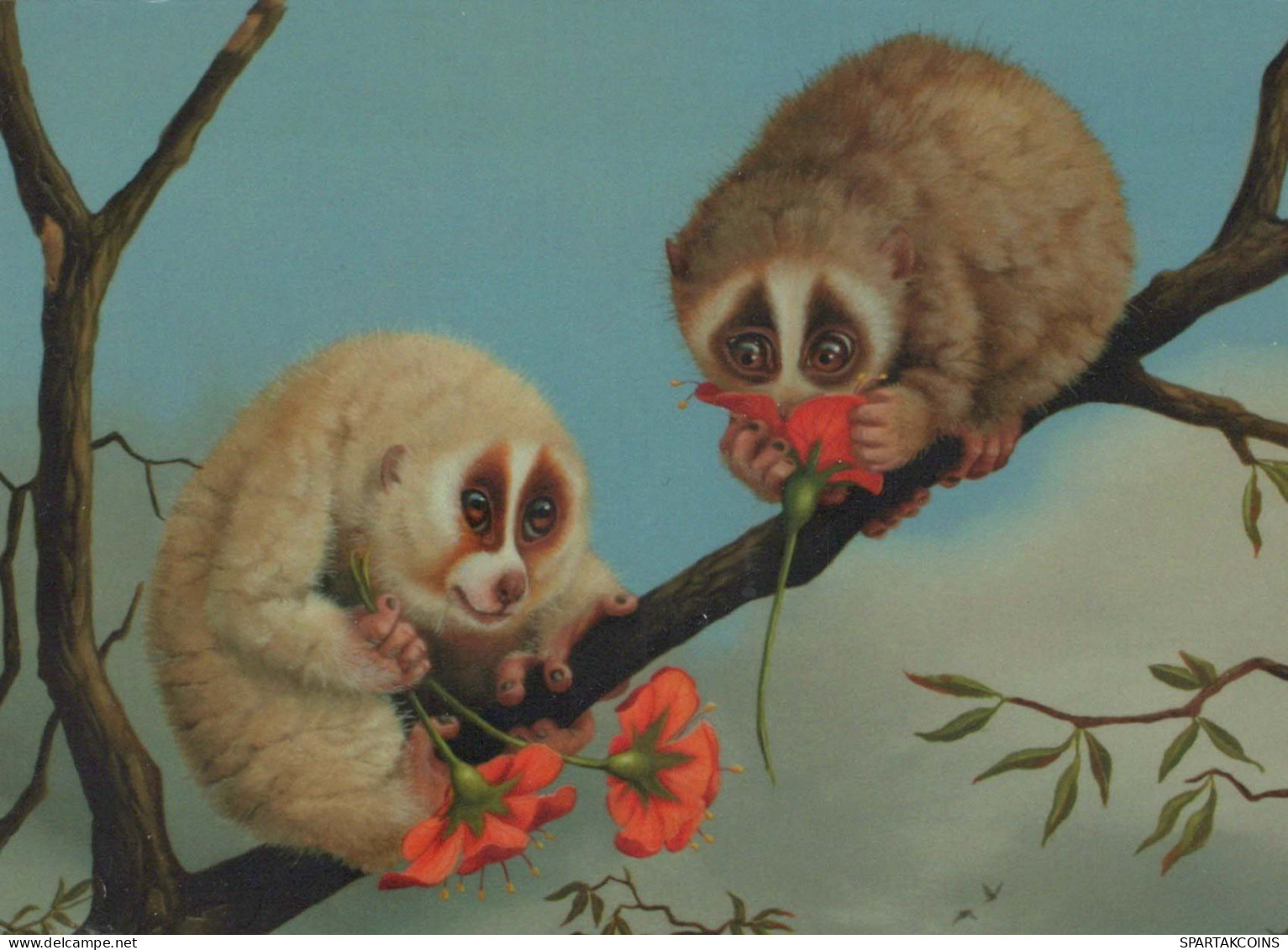 LEMUR Animals Vintage Postcard CPSM #PBS892.GB - Other & Unclassified