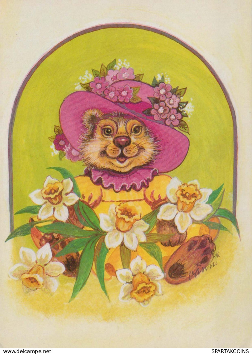 BEAR Animals Vintage Postcard CPSM #PBS183.GB - Ours