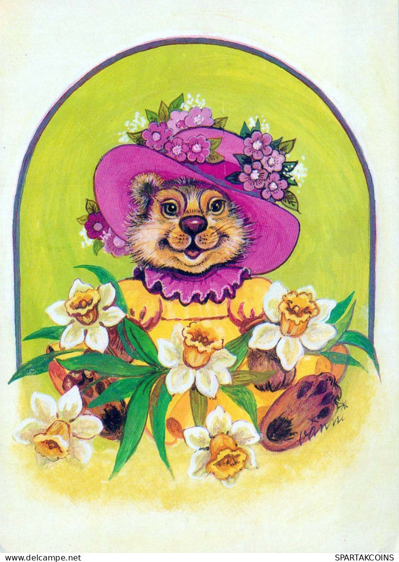 BEAR Animals Vintage Postcard CPSM #PBS183.GB - Beren
