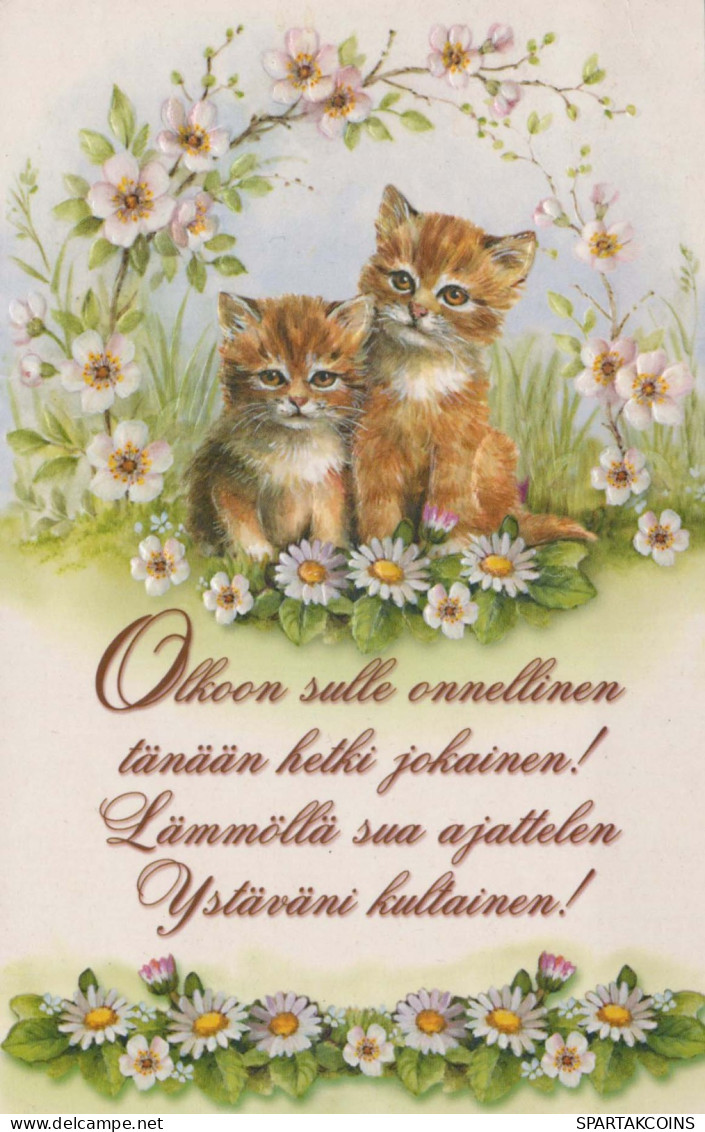 CAT KITTY Animals Vintage Postcard CPSM #PBQ924.GB - Cats