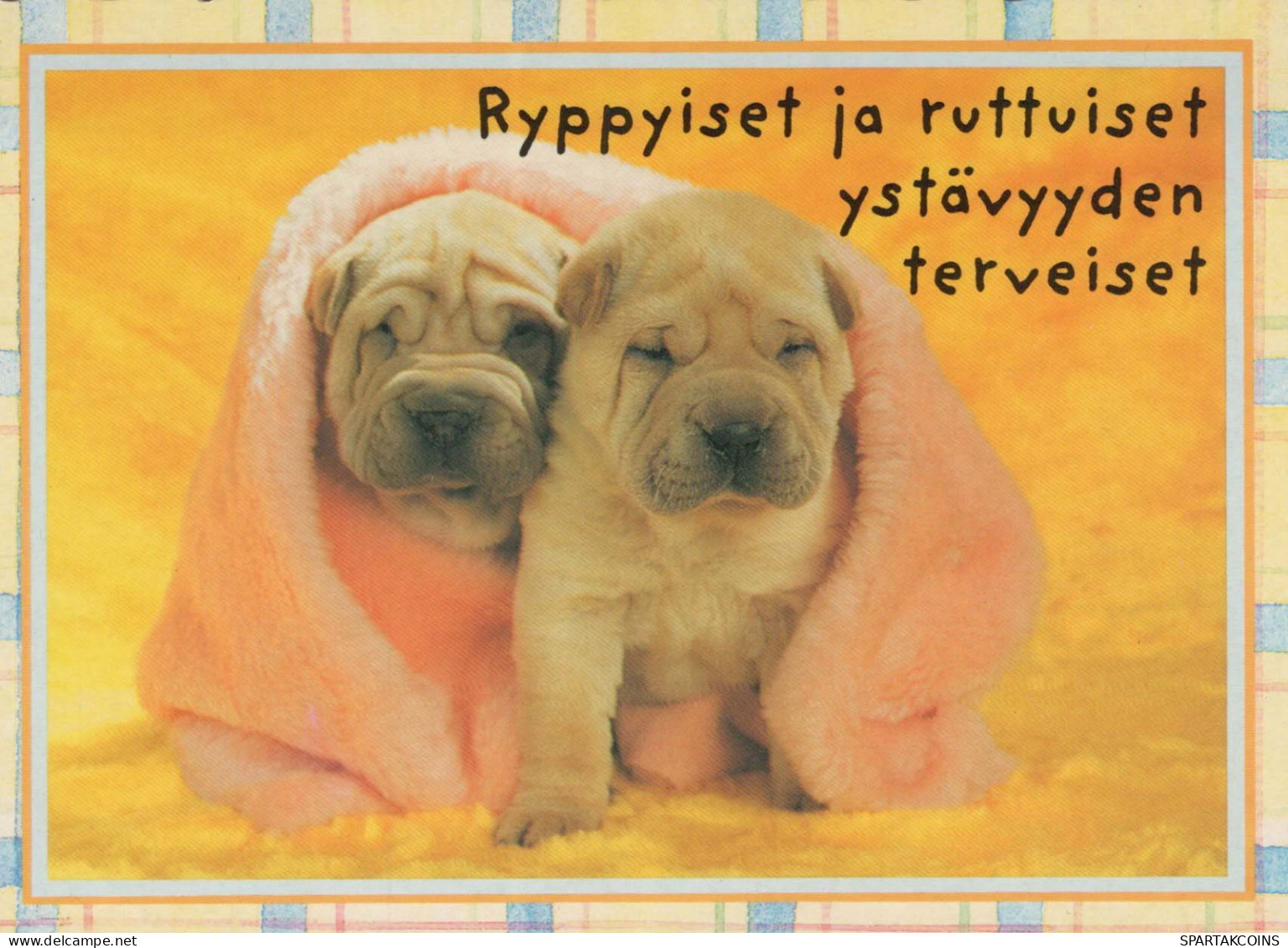 DOG Animals Vintage Postcard CPSM #PBQ407.GB - Chiens