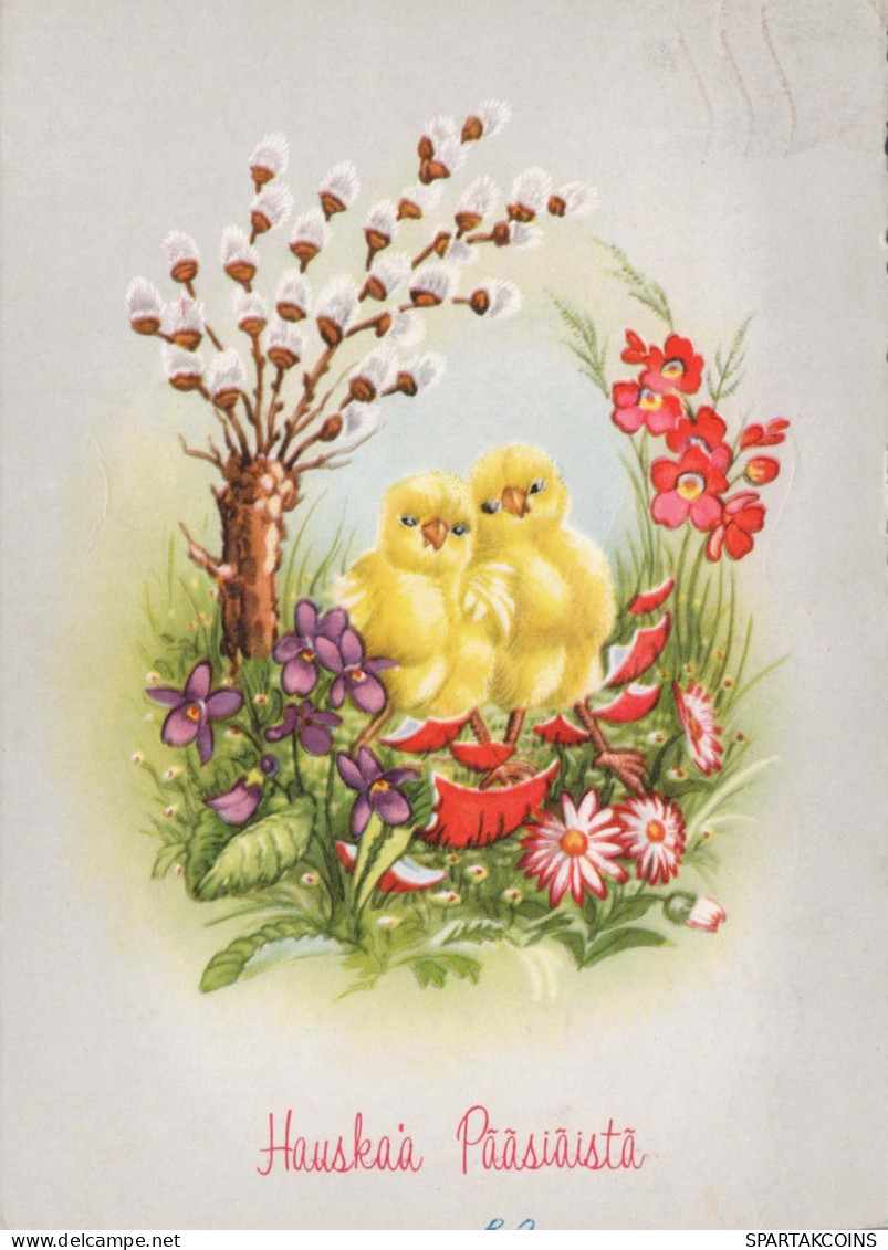 EASTER CHICKEN EGG Vintage Postcard CPSM #PBP255.GB - Easter