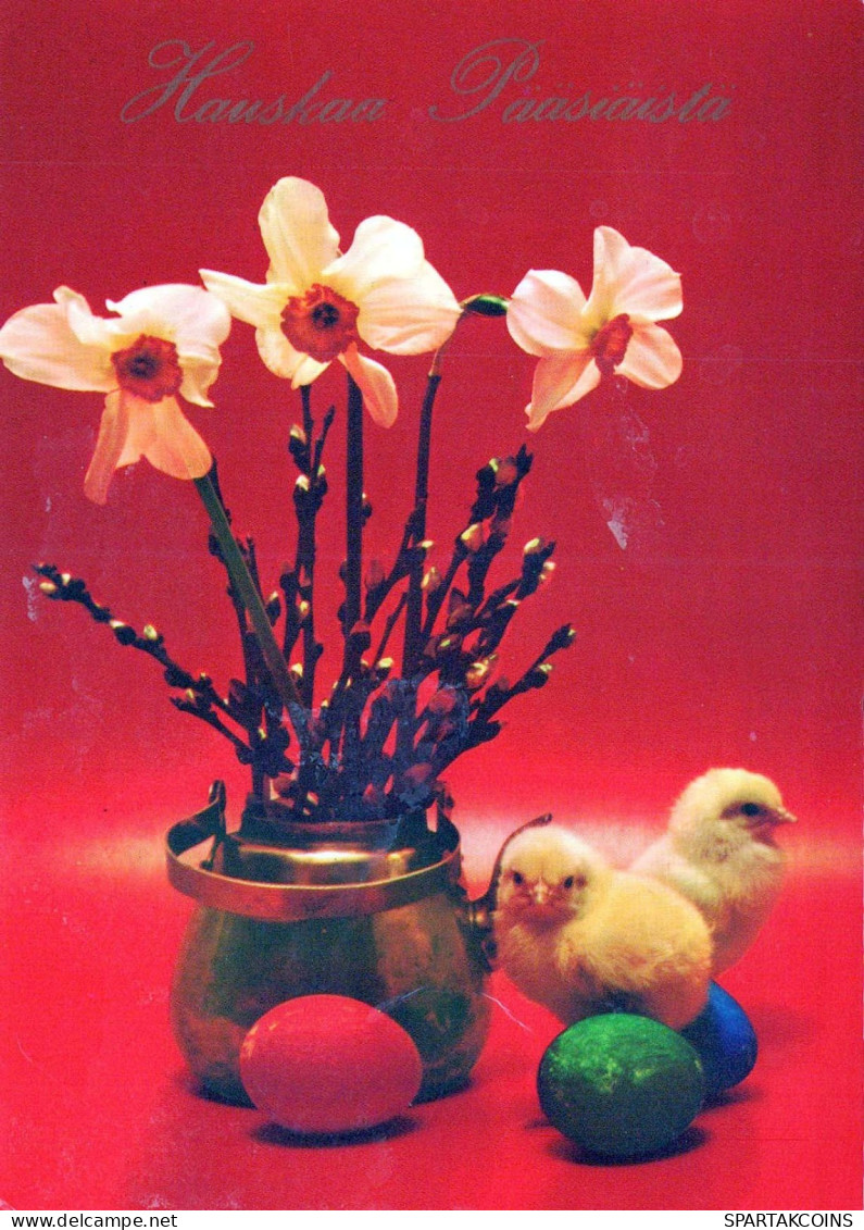 EASTER CHICKEN EGG Vintage Postcard CPSM #PBO754.GB - Easter