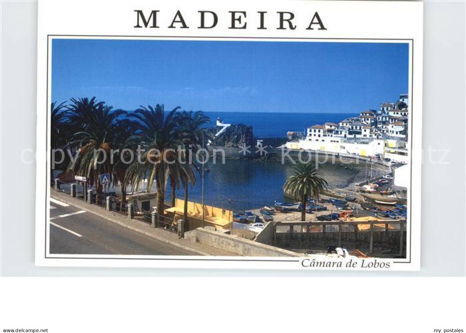 72535924 Camara De Lobos Madeira  Portugal Hafen Bucht  - Madeira