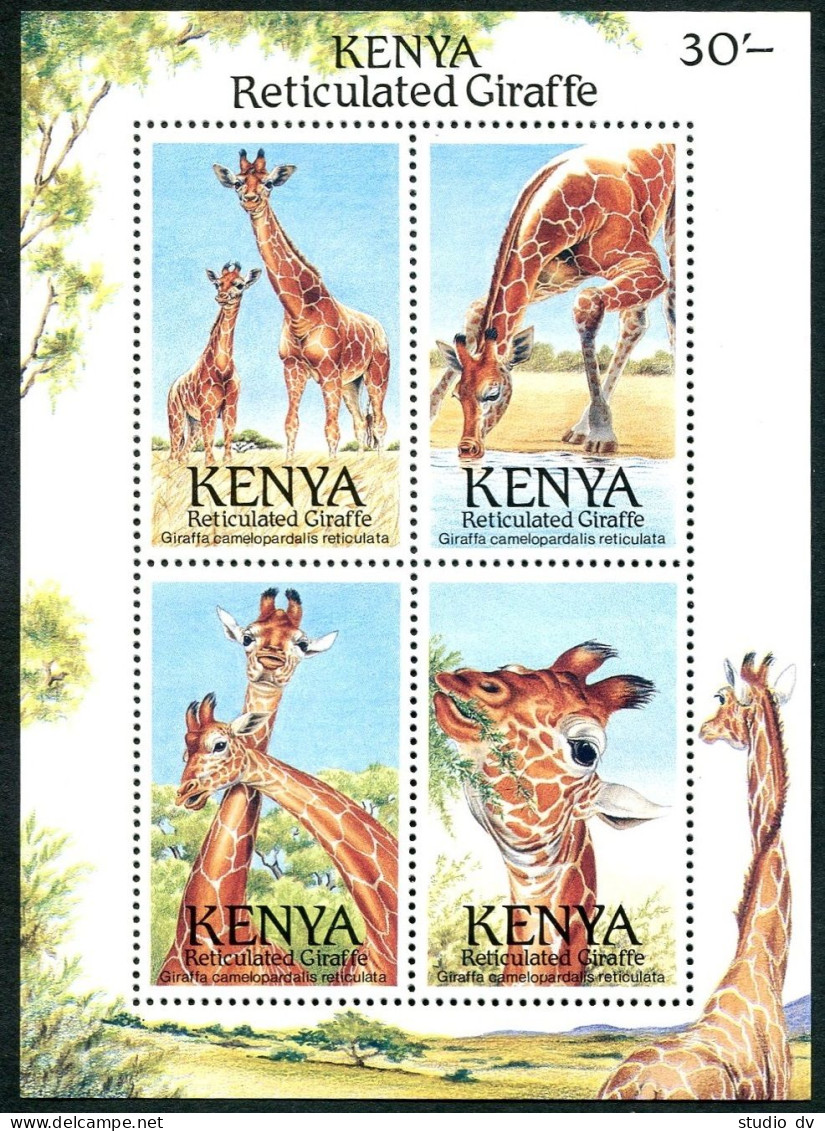 Kenya 495 Sheet, MNH. Michel 481-484 Bl.36. Giraffes 1989. - Kenya (1963-...)