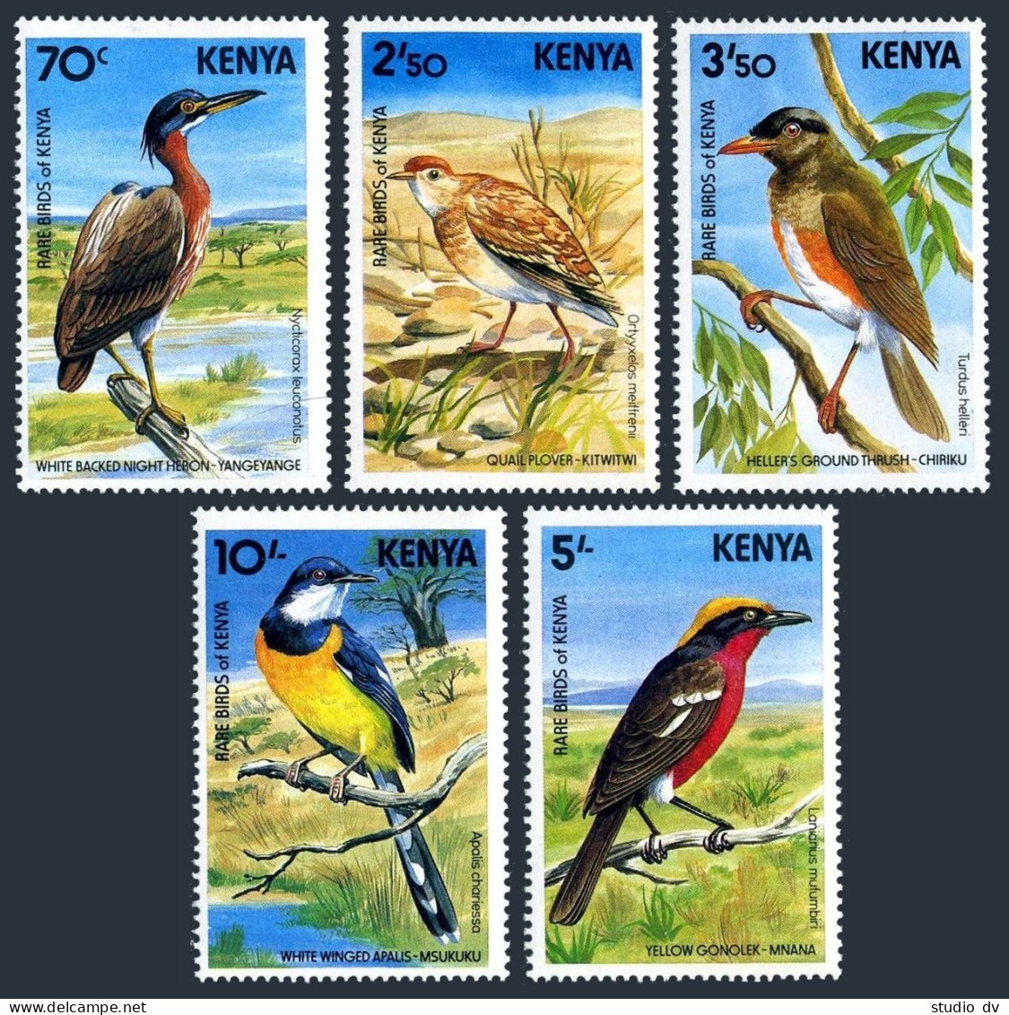 Kenya 288-292,MNH.Michel 283-287. Rare Local Birds 1984.Heron,Plower,Thrush, - Kenya (1963-...)